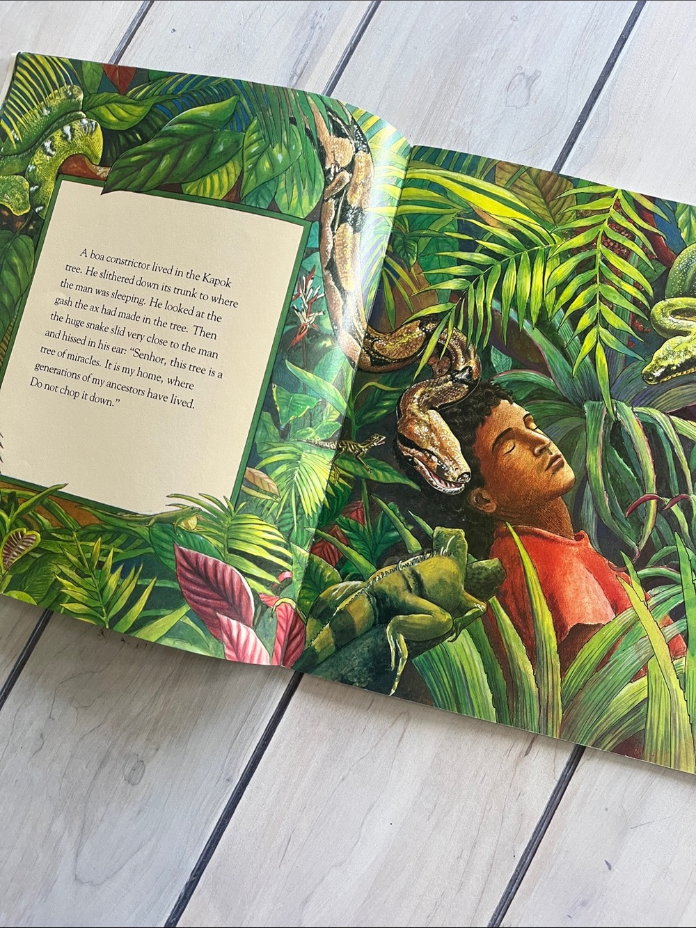 Rain Forest Book Bundle: The Great Kapok Tree, Rainforest Animals and Babies - Picture 3 of 8